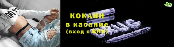 трава Дмитриев