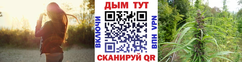 Каннабис ГИДРОПОН  Жиздра 